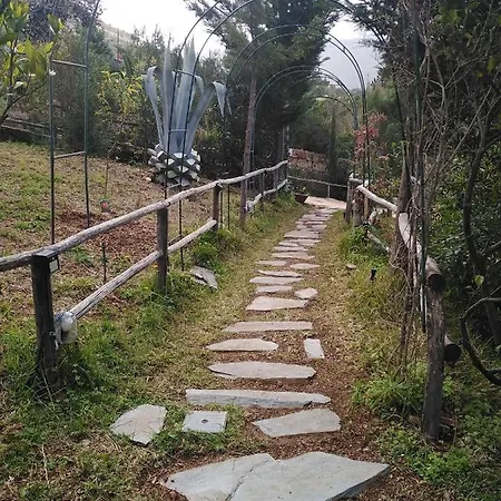 Il Corbezzolo *