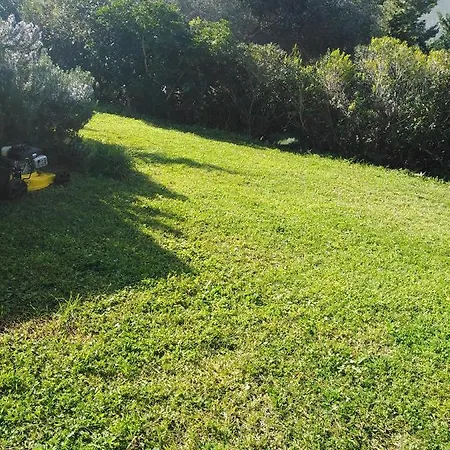 Il Corbezzolo * Castelluzzo