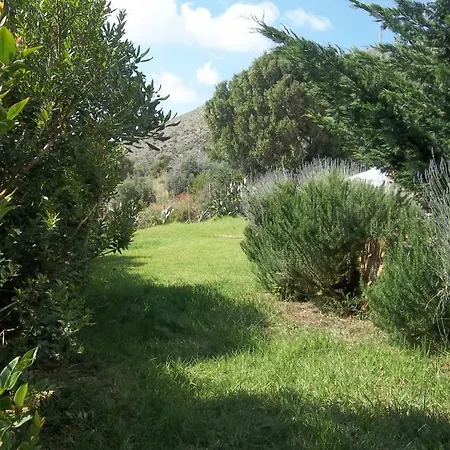 Il Corbezzolo