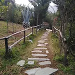 Il Corbezzolo *