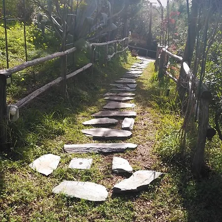 Il Corbezzolo Castelluzzo
