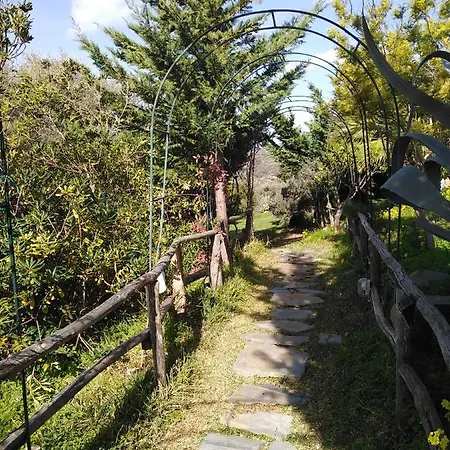 Il Corbezzolo *