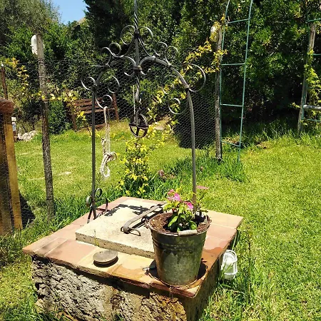 Il Corbezzolo *